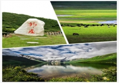 廣州到阿壩物流專線，專業(yè)運(yùn)輸廣州至阿壩貨運(yùn)公司