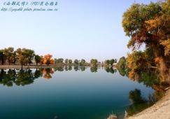 廣州到阿克蘇物流專(zhuān)線，廣州到新疆阿克蘇貨運(yùn)公司
